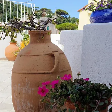 Gigi Centralissimo Lacco Ameno Apartment Ischia